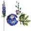 Tige Shearer Delphinium