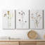 Pressed Botanical I - Ensemble de 3 reproductions sur toiles tendues-578238684