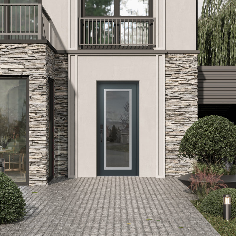 Porte d'entrée avant à panneau С1 panneau acier argenté anthracite / anthracite, Oui, Gelé