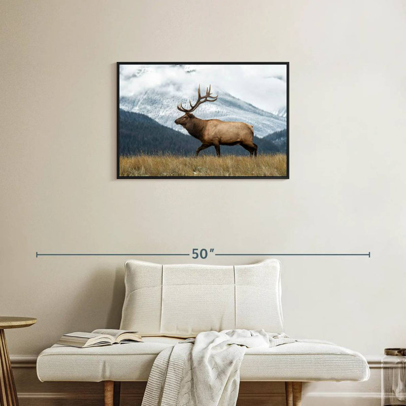 Brampt Mountain Bull Elk, 21" H x 31" W