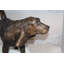 Statue chien Neasa Hound