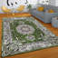 Branlee Floral Area Rug-1997744864