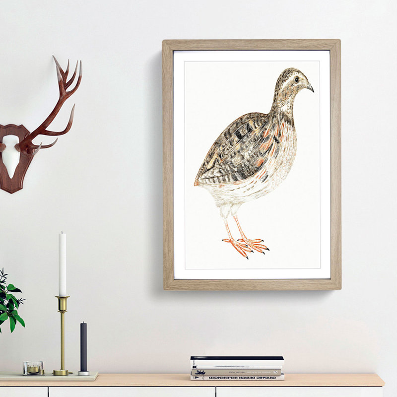 A Quail by Johan Teyler - Single Picture Frame Painting, Oak Framed, 33cm H x 24cm W x 2cm D