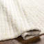 Striped Area Rug-677355137