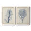 Indigo Coral-1687557495-1687523539-1687523541