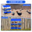 10-Compartment Galvanized Steel Rollaway Chicken Nesting Box – Removable Lid, Ventilated, Easy-Clean, Freestanding or Wall Mount – With Stand for Hens, Coop Accessory-739318860-739318898