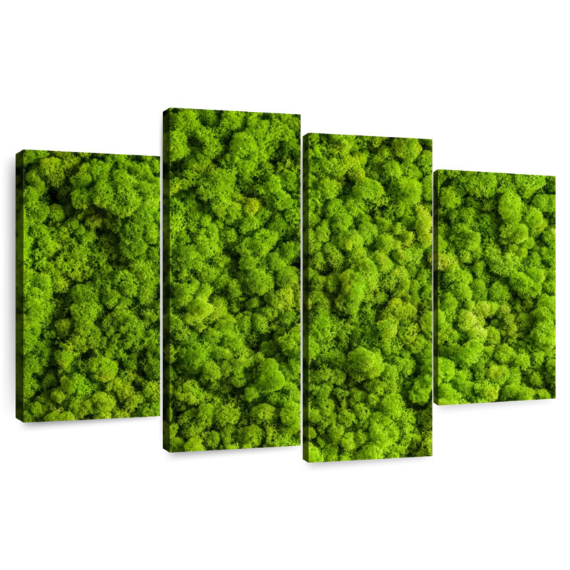 Mousse de renne Harnek, H 22 po x l 36 po
