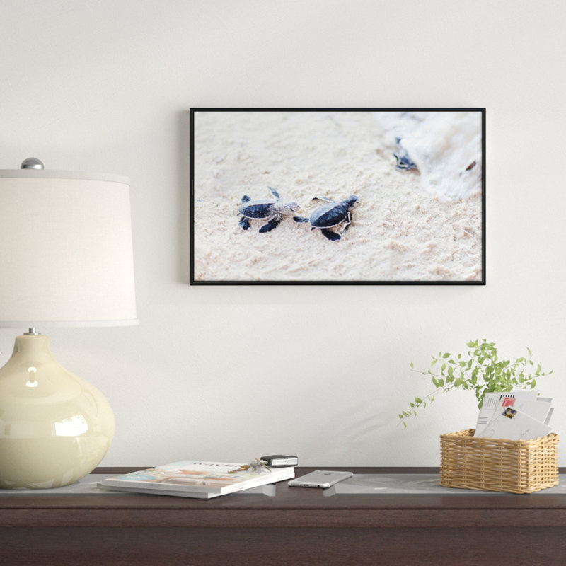 «Baby Green Turtles on Sand», reproduction de photo sur toile tendue encadrée, H 30 po x l 40 po x P 1,5 po