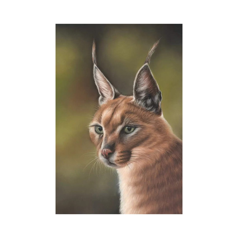 Caracal by Richard Macwee - Wrapped Canvas Gallery-Wrapped Canvas Giclée, 20.32 cm H x 30.48 cm W