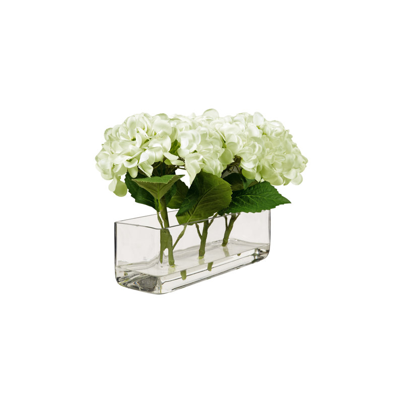 Hortensias verts dans un vase rectangulaire en verre, Vert