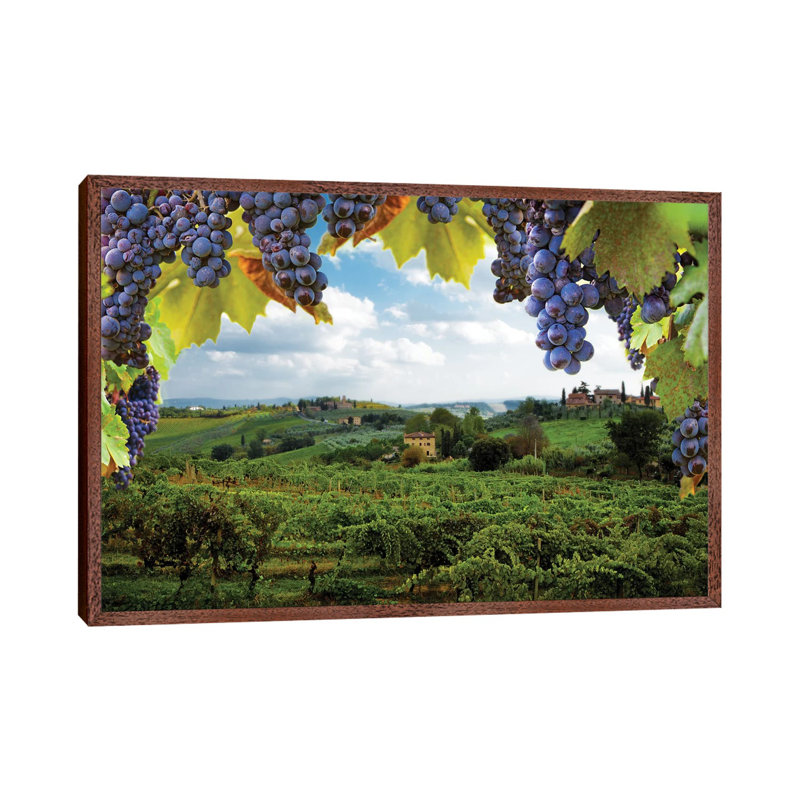 Vineyards In San Gimignano Italy by Susan Schmitz - Print on Canvas, 45.72cm H x 66.04cm W x 3.81cm D