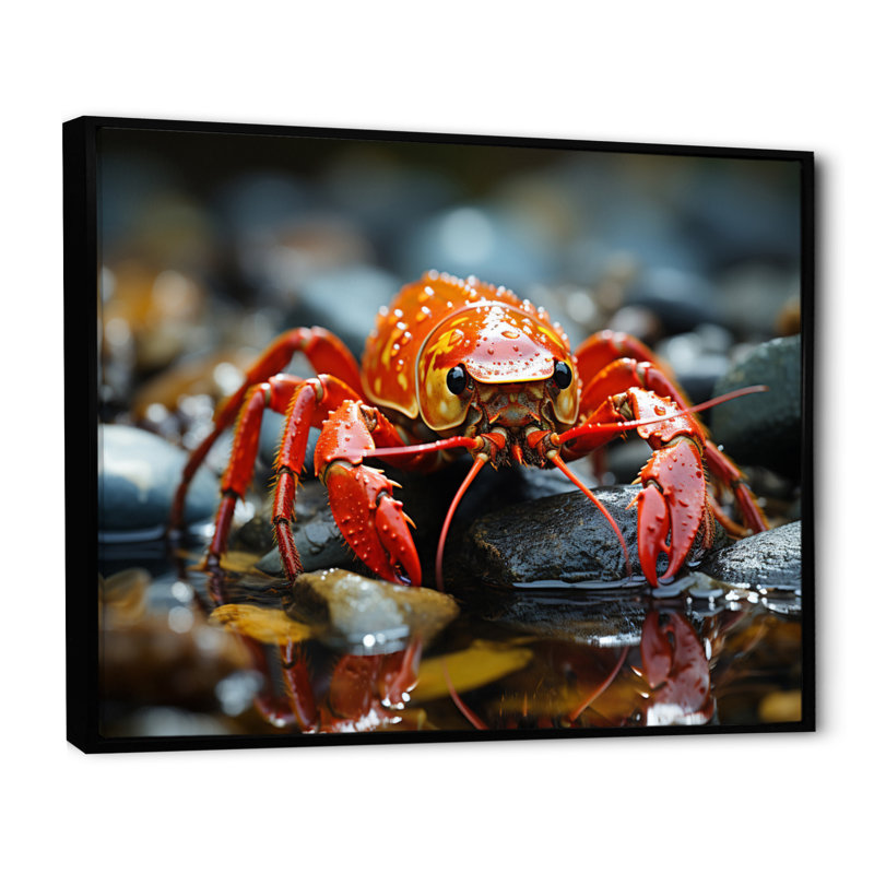 Crayfish River Jewels - Animals Canvas Wall Art, Cadre flottant noir, H 24 po x l 32 po x P 1 po