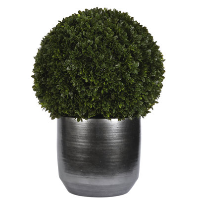 UVÉ | Boule de buis, pot en céramique, l 24 po x P 24 po