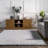 Jeni SuperiorWash Solid Faux Rabbit Machine Washable Area Rug-1671561911