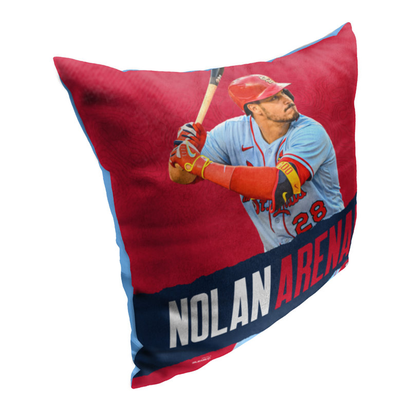 Reversible Pillow Cover