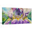 «Iris Flower Close», impression sur toile tendue-18440888