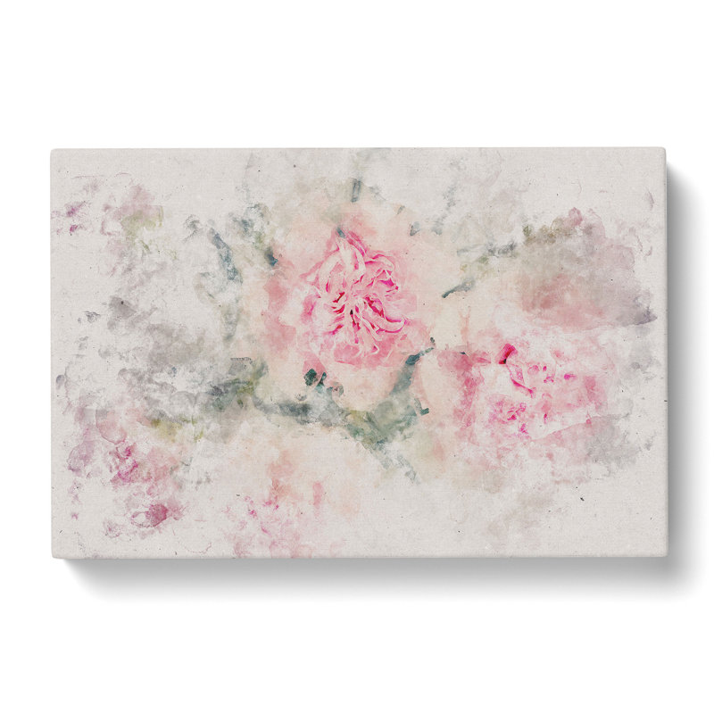 Pale Pink Carnation Flowers - Wrapped Canvas Print, 35cm H x 50cm W x 3cm D