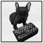 Classy Frenchie Noir - impression sur toile-33435849-33435851
