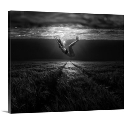 Underwaterlandream by Peter Majkut Photographic Print on Canvas