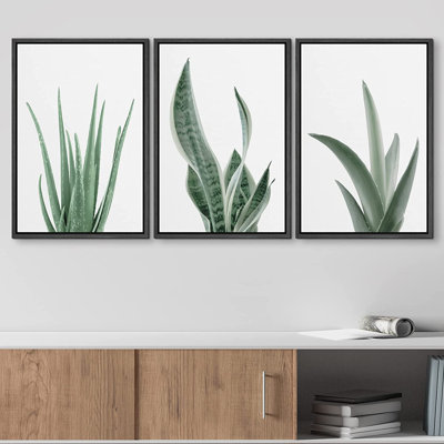 IDÉE4WALL, reproduction d'art sur toile, ensemble minimaliste de plantes, plante d'agave, plantes grasses, nature sauvage, photographie, art moderne, bohème décoratif pour le salon, la chambre à coucher, le bureau