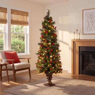 Crestwood Spruce Entrance Tree