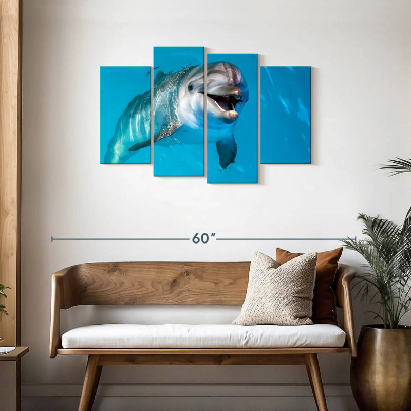Brampt Dolphin's Smile
