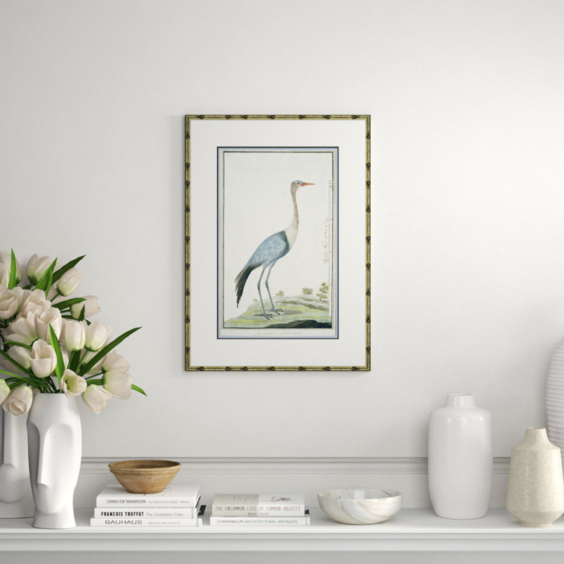 Bird Drawings, Circa 1777 Giclee Print