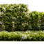 Tapis de couloir contemporain Modon vert-ivoire-71186207