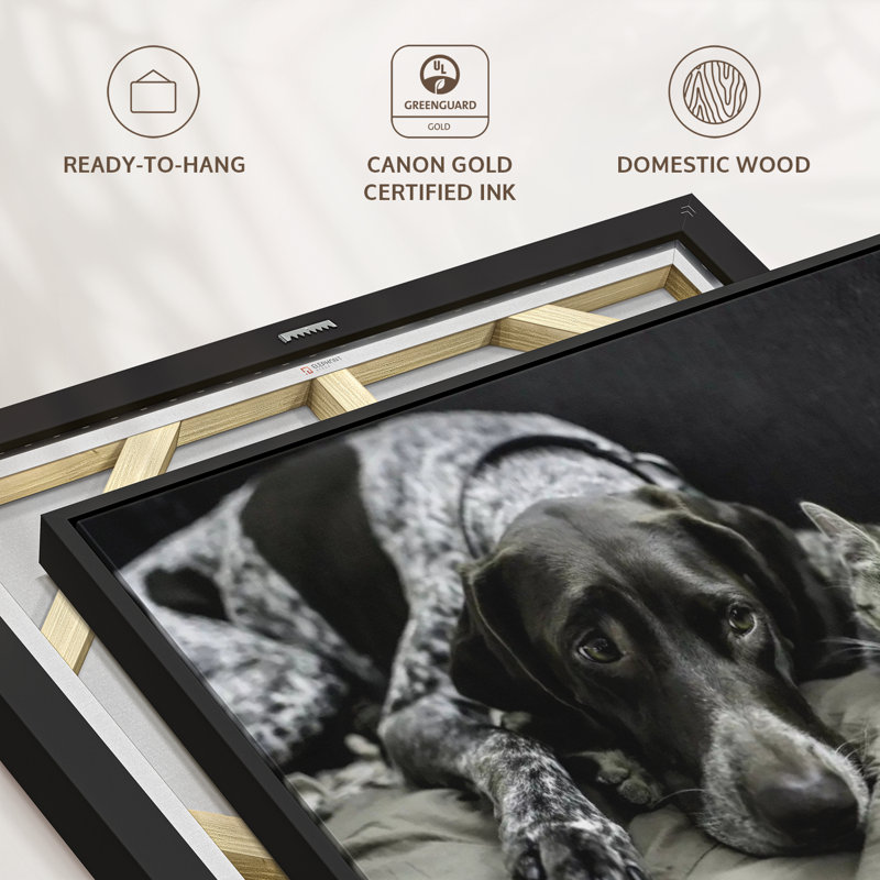 Animal «Dog and Cat Friends Wall Art», H 21 po x l 31 po