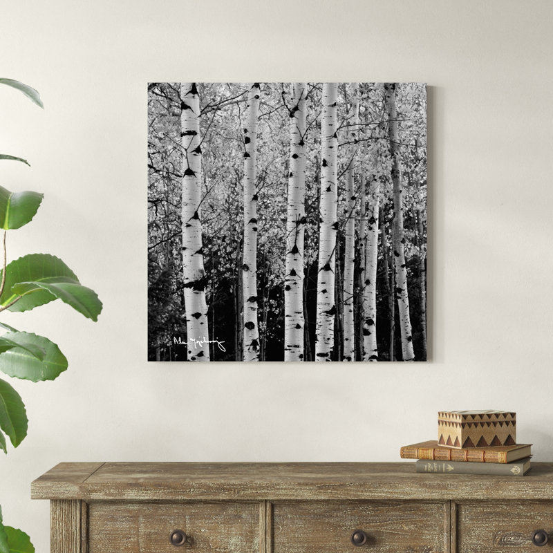 Aspens in Autumn II BW, H 30 po x l 30 po x P 1,25 po