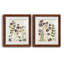 Pressed Flower Arrangement V - Ensemble de 2 reproductions d'art-147857826-137164409-137164405