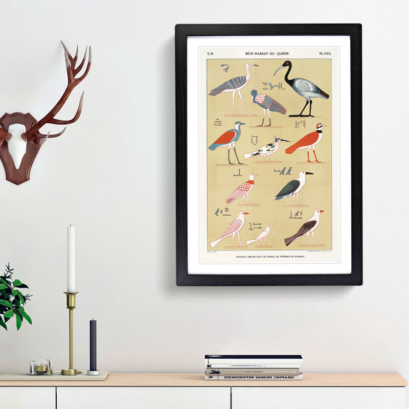 Birds by J.F. Champollion - Picture Frame Painting Print, 65cm H x 48cm W x 2cm D, Black Framed
