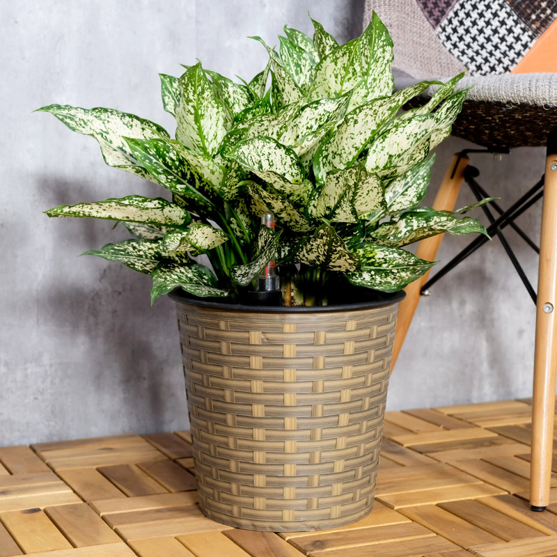 13.4" Round Natural Planter With Self-Watering - For Indoor And Outdoor Weather Simple Assembly Method Decor Protected Setup