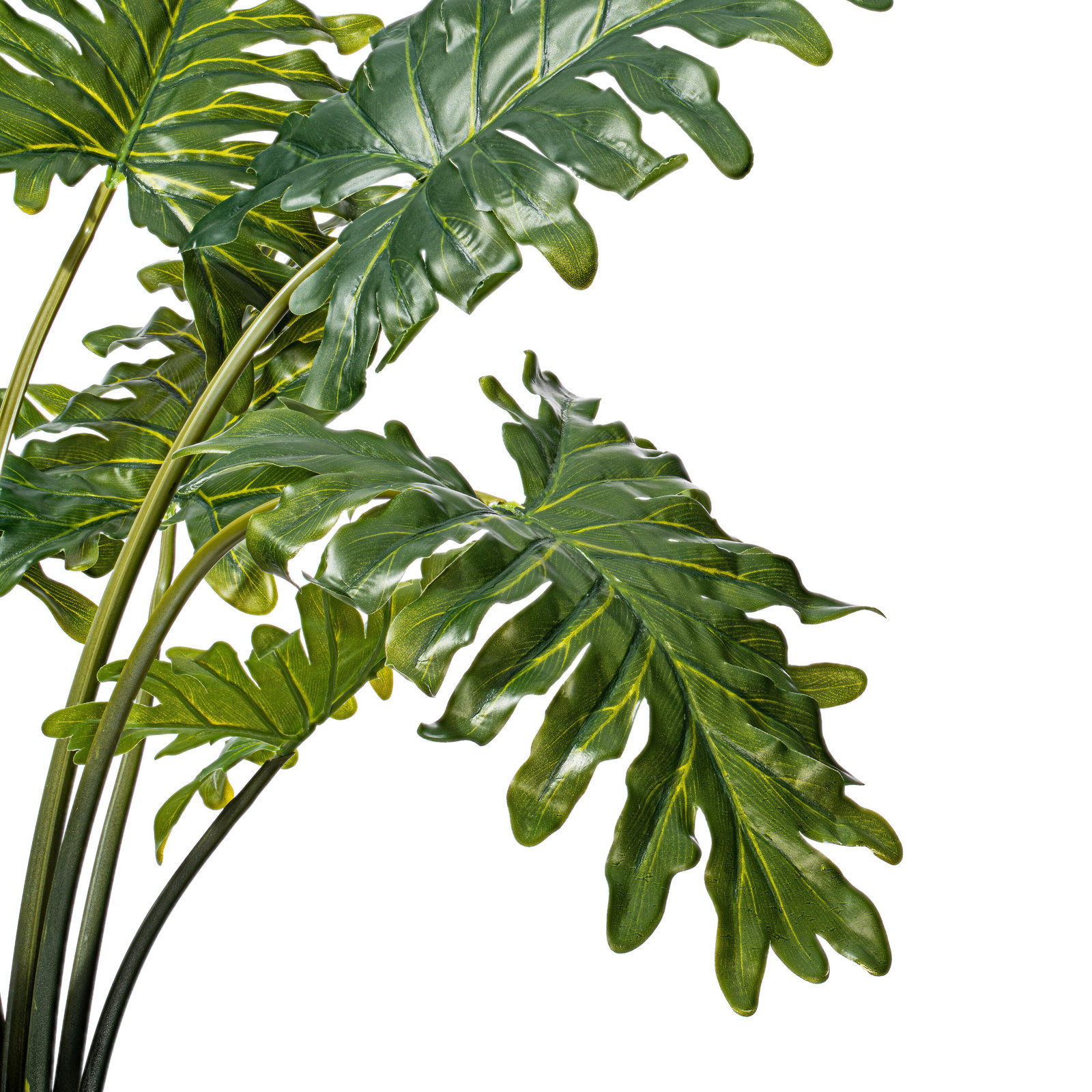38" Philodendron Plant in Pot, 25" H x 24" W x 24" D