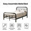 Structure de lit simple de 14 pouces avec tête et pied de lit de style victorien, lit plateforme avec lattes en métal, aucun sommier requis, rangement sous le lit, assemblage facile, noir-2030720415