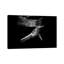 «Breathe» par Jordan Robins - reproduction de photo-56050574-56052756-56050074
