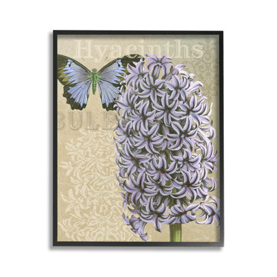 Hyacinth Pattern & Butterfly Framed Giclee Art by Gail Fraser