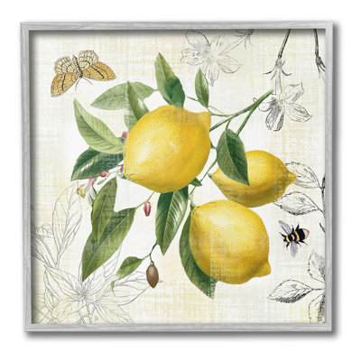 Vintage Lemon Blossoms Framed Giclee Art by Nan
