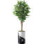 Faux Ficus Tree in Planter-86407215-116650737