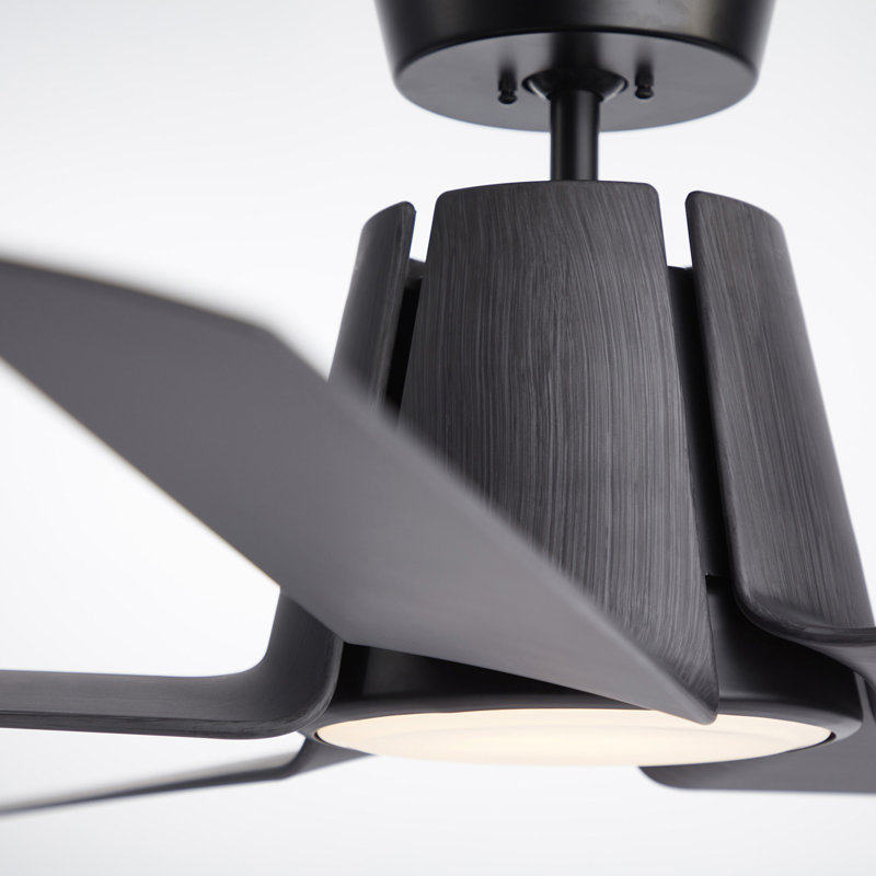 Ventilateur de plafond standard à 5 pales de 28,19 po Akhavi avec chaîne de traction et ensemble d'éclairage inclus
