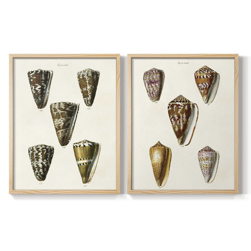 Impression encadrée V-Cone Shell Collection - prête à être accrochée - aucun clou requis - aucun clou requis, Bois naturel