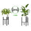 Nadreau Plant Stand