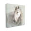 "Stupell Industries White Horse", peinture sur toile par Danhui Nai-91307393-91307395