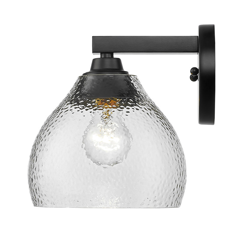 Donia Steel Spotlight