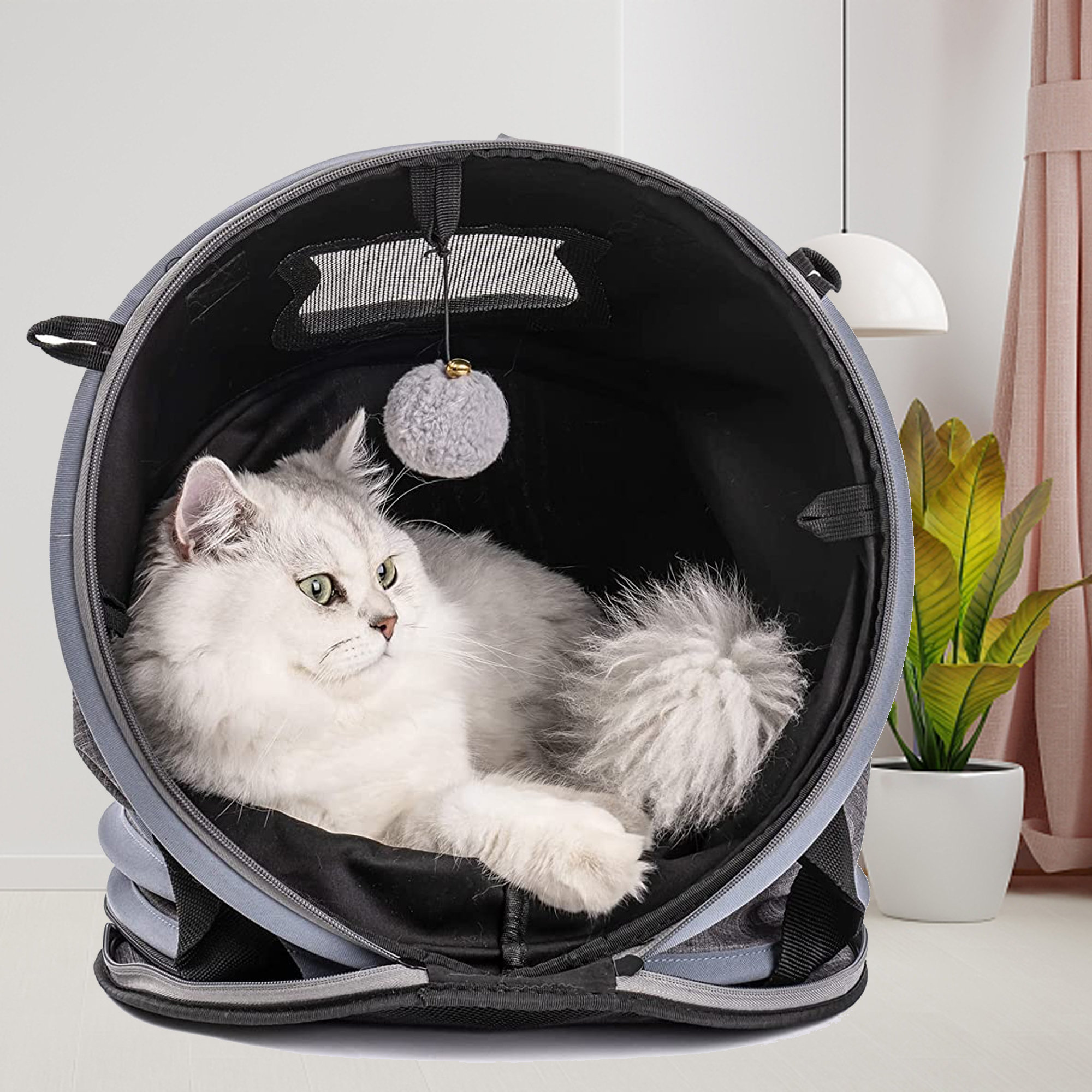 https://assets.wfcdn.com/im/90863534/compr-r85/2210/221077430/expandable-pet-travel-bag-3-in-1-cat-bed-with-with-plush-balls-foldabletunnel-pet-travel-carrier-bag-.jpg