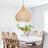 Dormody 1 - Light Natural Dome Pendant-804911289
