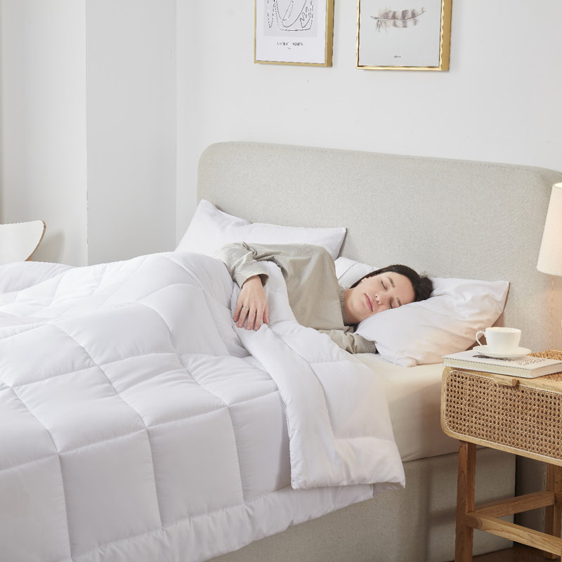 White Queen Microfiber All-Season Duvet Insert