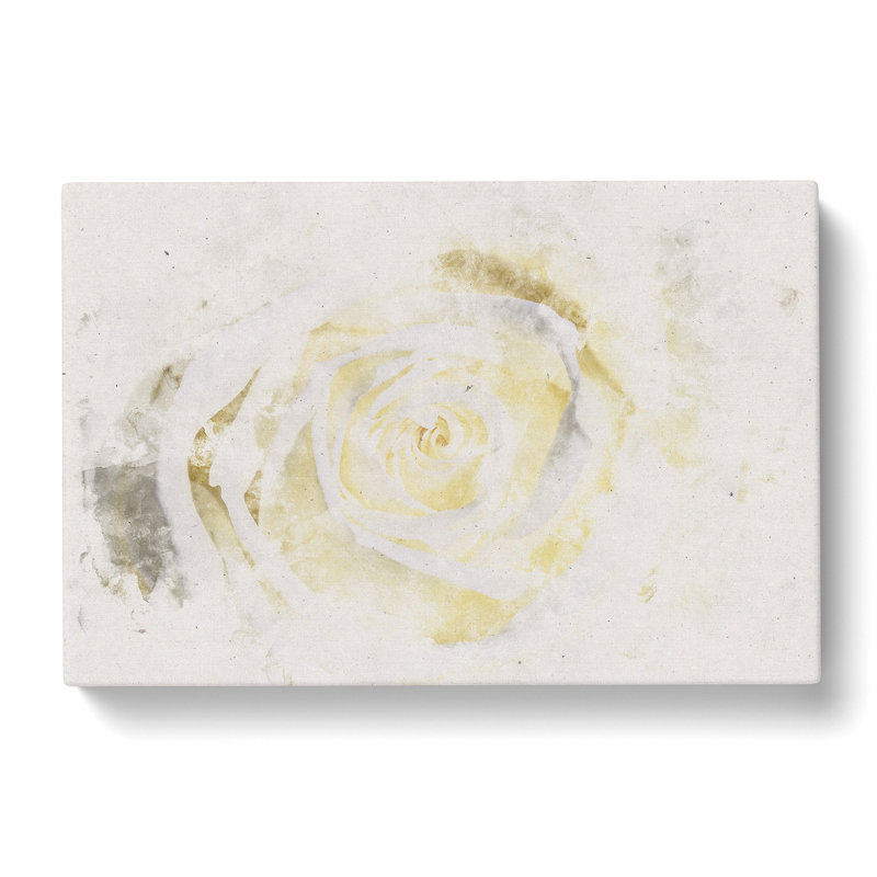 Crisp White Rose - Wrapped Canvas Print, 40cm H x 60cm W x 3cm D