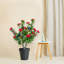 89.9cm Plant-1183563102