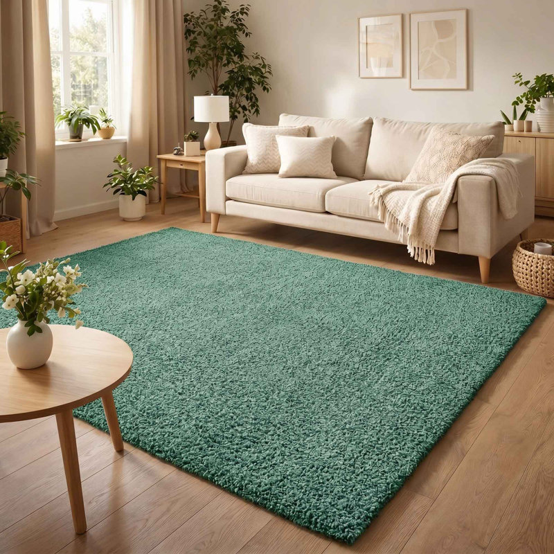 Ainsley Plain Living Room Shaggy Area Rug Modern Soft Pile Polyester Rug, Rectangle 80 x 150 cm, Emerald